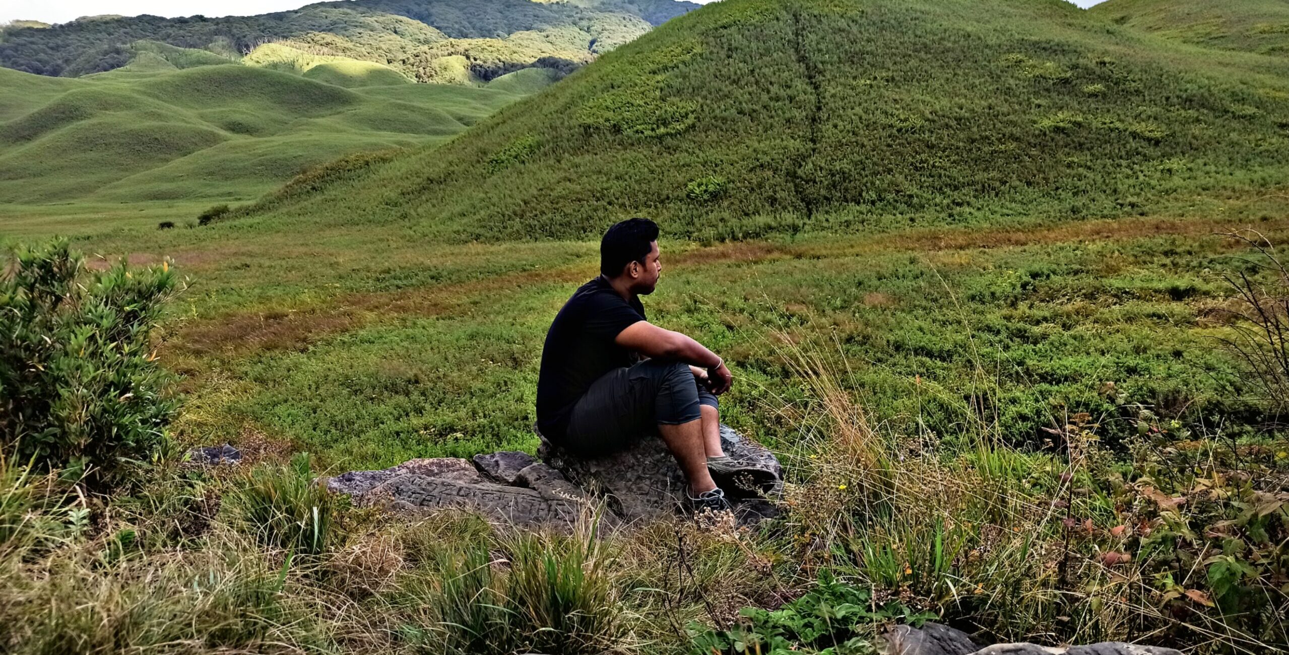 MY LIFE IN NATURE